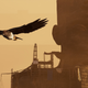 Image for article titled A Screenshot Tour Back Through The Stunning Assassin's Creed Origins